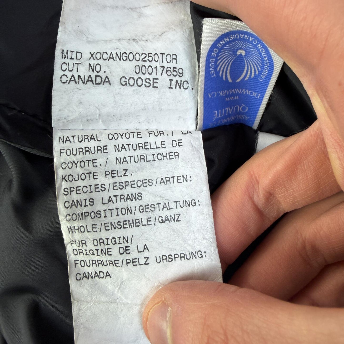Canada Goose Chateau Navy Parka Size M